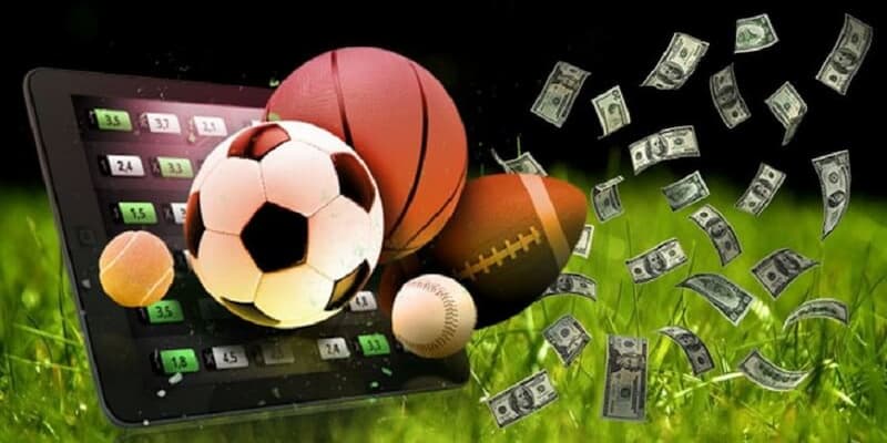 Các chương trình thưởng và ưu đãi tại Paddy Power