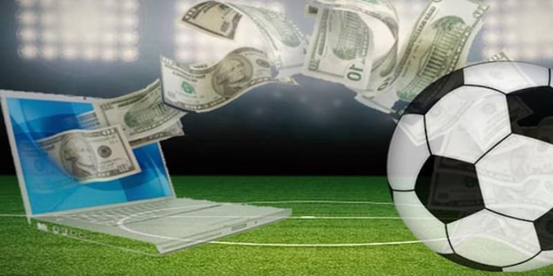 Những lưu ý khi chơi tại Paddy Power để không mất tiền oan