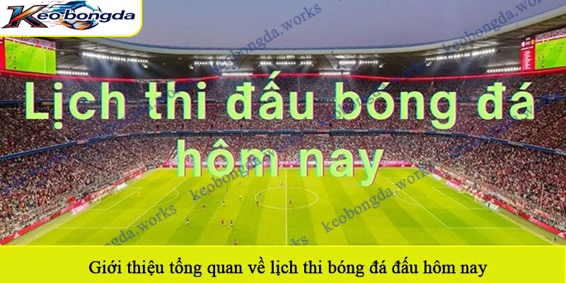 Giới thiệu tổng quan về lịch thi bóng đá đấu hôm nay