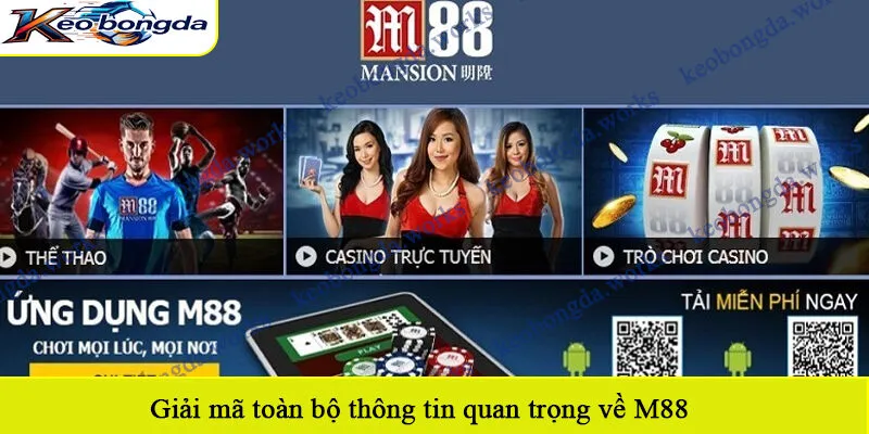 Giải mã toàn bộ thông tin quan trọng về M88