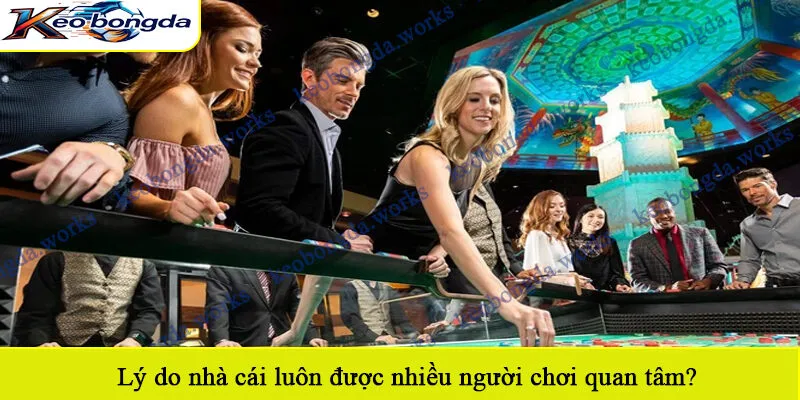 Lý do nhà cái luôn được nhiều người chơi quan tâm?