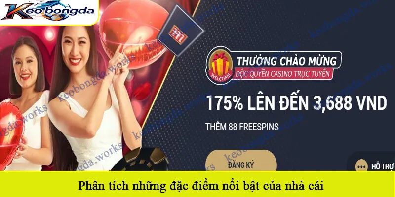 Phân tích những đặc điểm nổi bật của nhà cái