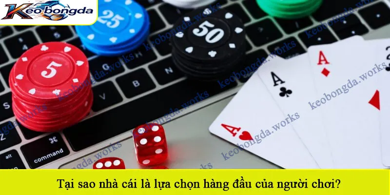 Tại sao nhà cái là lựa chọn hàng đầu của người chơi?