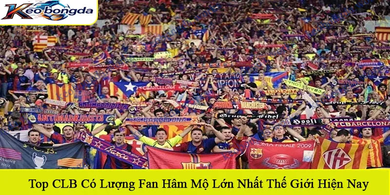 top CLB có lượng fan hâm mộ lớn nhất