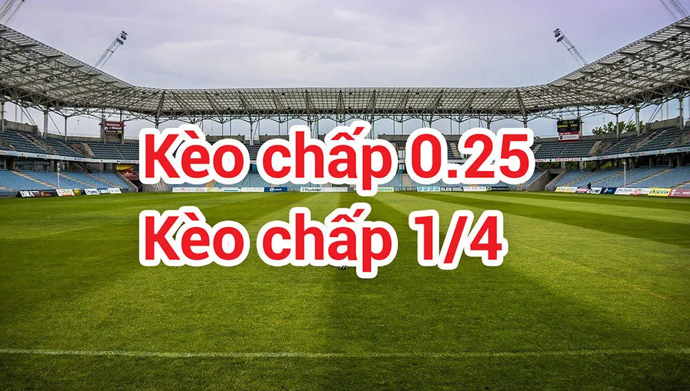 Những thông tin cơ bản về kèo 0 - 0.5 là gì?