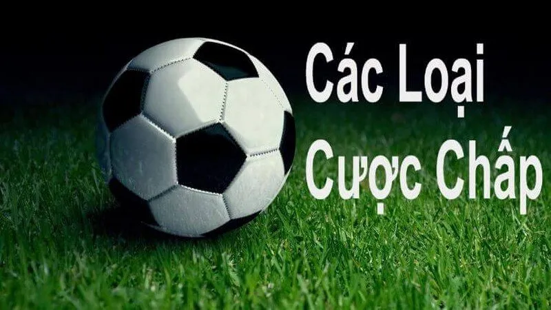 Yếu tố chính quyết định phần thắng là phải có kinh nghiệm chơi cược chấp
