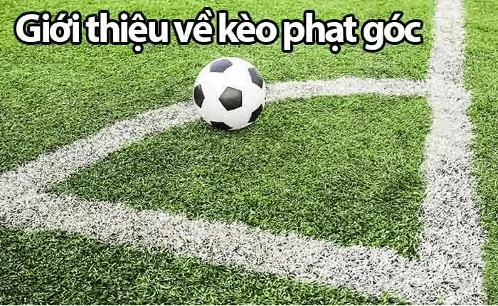 Kèo Phạt Góc Là Gì Và Tại Sao Lại Thu Hút Người Chơi