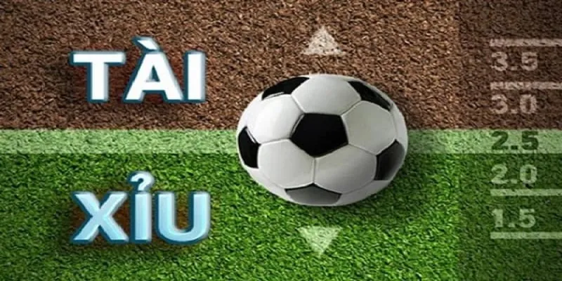 Mẹo ăn kèo tài xỉu chuẩn xác giúp nâng cao tỷ lệ thắng