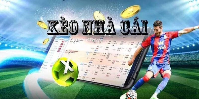 Những loại kèo cược bóng đá ảo cơ bản mà tân thủ cần biết